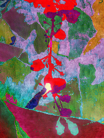 Effluves de vigne