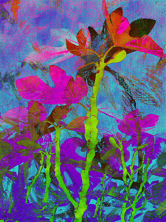 L'heure mauve